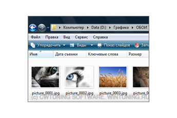Отображать значки, а не эскизы - Данная настройка подходит для Windows Vista
